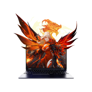 MECHREVO/机械革命 翼龙16Pro 2.5K 300Hz 游戏笔记本电脑  2560*1600 RTX 5060 R7-255H 32GB 1TB