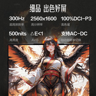  MECHREVO/机械革命 翼龙16Pro 2.5K 300Hz 游戏笔记本电脑  2560*1600 RTX 5060 R7-255H 32GB 1TB