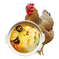 鲜京采 大别山老母鸡 1kg 冷冻 山林散养走地鸡 500天慢养 土鸡月子鸡汤