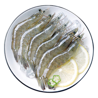 UNIVERSAL 环球水产 广东茂名 鲜冻白虾 100-120只 2kg