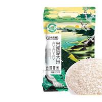 盖亚农场东北大米黑龙江兴凯湖小长粒香米珍珠米年货 云露香米2.5kg