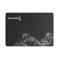 Great Wall 长城 1TB SSD固态硬盘 SATA3.0接口 高速低功耗 速龙S300系列 最高可达530MB/s（晒单返5元）