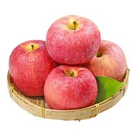 康田汇 秦美 丑苹果 苹果 4.5斤