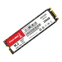 长城 GW1000系列  SATA M.2 固态硬盘 256G