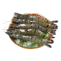 京东生鲜 泰国黑虎虾 1.8kg