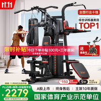 军霞 DZ303 综合训练器械