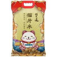 稻可道 猫牙米 长粒米5kg 大米 籼米10斤 猫牙米5kg