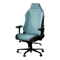 BLACKLYTE逐夜电竞椅人体工学电脑椅网吧办公室宿舍寝室游戏椅书房座椅A06 【布艺】灰蓝