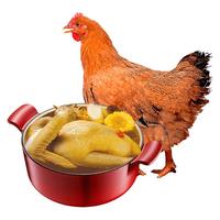 WENS 温氏 供港黄油母鸡1.4kg