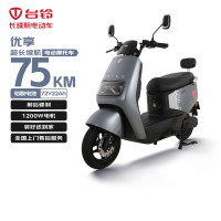 京东百亿补贴：台铃 优享2.0 电动摩托车 72V22Ah 银河灰