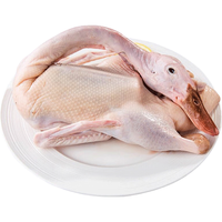 华英 天养麻鸭 鸭肉 950g