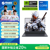 机械革命 极光X 酷睿i7HX 游戏本笔记本电脑(i7-13700HX 16G 1T RTX5060 2.5K屏 180Hz 灰)
