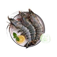 喵满分 特大号黑虎虾新鲜大虾1kg(20-30只)鲜活速冻海鲜水产