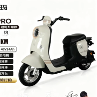 PLUS会员、国家补贴：爱玛 电动自行车爱朵48V24Ah锂电长续航豪华复古电动车   奶昔白