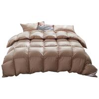 【烈儿炸烈双11】斯诺曼羽绒被90白鸭绒冬被保暖被子被芯