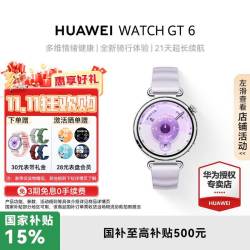 华为 HUAWEI 手表 Watch GT 6 41mm  流光紫 41mm