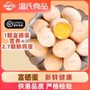 温氏 富硒鸡蛋 30枚 1.5kg