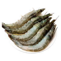帆货 盐冻无冰海捕青岛大虾 4斤装 16-18CM规格30-40