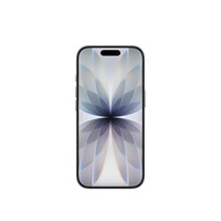 国家补贴：苹果 Apple iPhone 17 5G手机 256GB 黑色