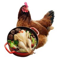 正大食品 老母鸡 1.4kg