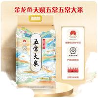 金龙鱼五常大米天赋五常大米 5kg*2