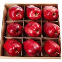 苗武云甘肃天水苹果新鲜当季现摘粉面苹果不打蜡 严选天水苹果 4.5斤 装净重4.25斤单果80-100mm/