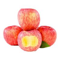 猗顿农品 山西红富士苹果 净重2.3kg