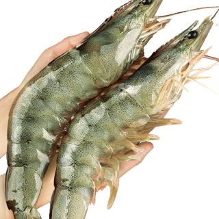 鲜驰 xianchi 大虾鲜活超大基围虾特大青虾冷冻鲜对虾速冻海虾虾类海鲜水产青岛