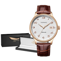 天王 昆仑系列 男士机械表 GS51353 41.5mm