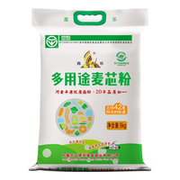 XIN LE TOYS 鑫乐 多用途麦芯粉 5kg