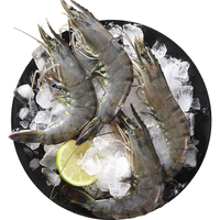 One's Member 1号会员店 泰国活冻黑虎虾 净重1kg 21-30只