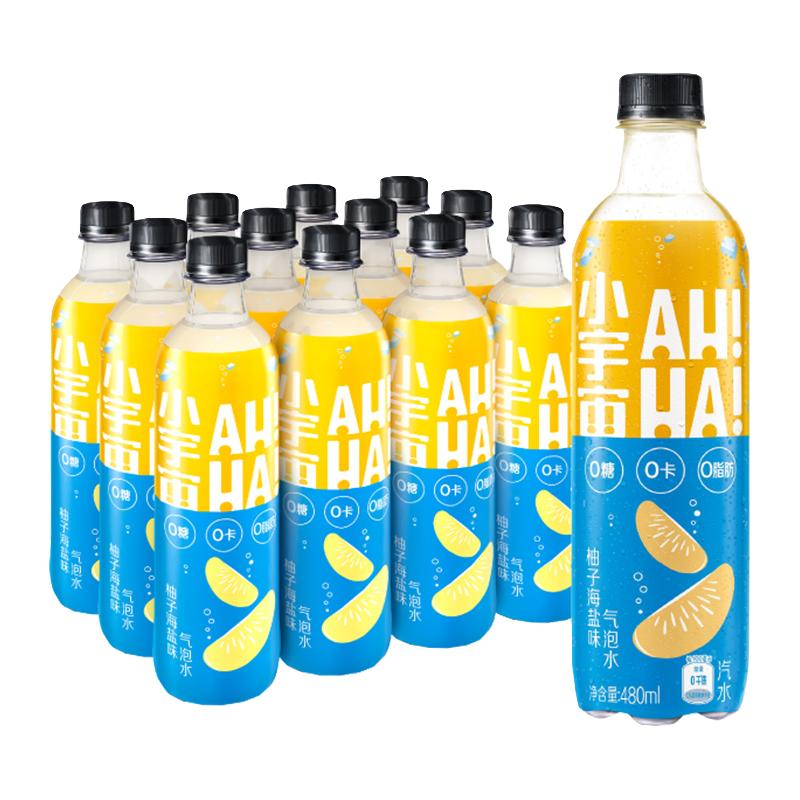 AHHA 小宇宙 气泡水 柚子海盐味