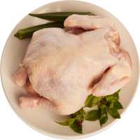 Tyson 泰森 谷饲童子鸡 1.1kg