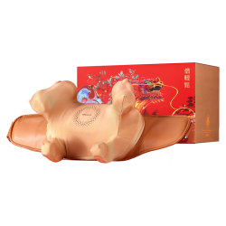 倍轻松 N5 mini 尊享版 颈椎按摩器