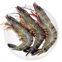 品鲜猫 黑虎虾 400g