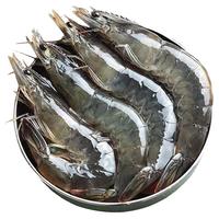 北海湾气冻虾特大青岛大虾液冷冻氮锁鲜基围虾青虾白虾海鲜