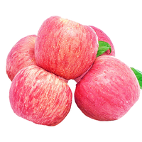 佟创山东烟台红富士苹果 水果新鲜当季生鲜 脆甜多汁山东特产脆甜整箱 红富士75-80mm 净重4.5斤