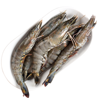 海泽鲜 黑虎虾 冰鲜大虾 鲜活生冻特大黑虎虾  巨型老虎虾 海虾类礼盒 大号L号15只【15-20cm】