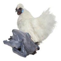 大用白凤乌鸡1kg*2 十全乌骨鸡农家土鸡冷冻月子鸡炖汤食材 200天左右