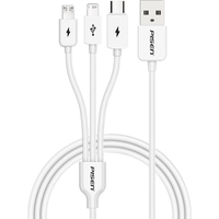 PISEN 品胜 APO7-1200 Lightning/Micro -B/Type-C 3.5A 数据线 PVC 1.2m 白色
