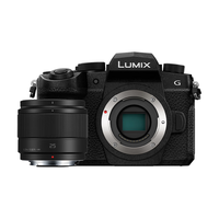  Panasonic/松下 5轴防抖 微单相机套装+25 F1.7 定焦镜头  单头套机 25mm