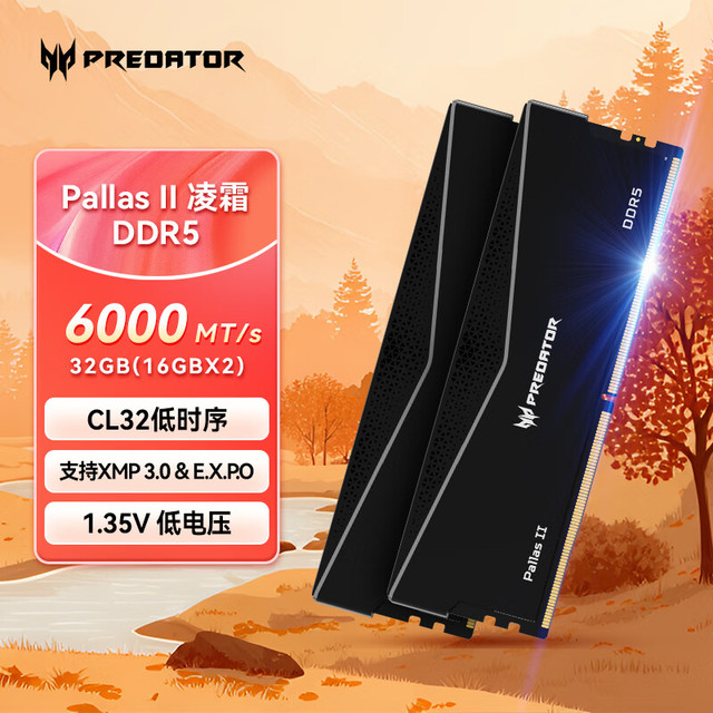 宏碁掠夺者 32G(16G×2)套装 DDR5 6000频率凌霜系列（C32）石耀黑