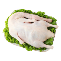 CP 正大食品 樱桃谷鸭 1.8kg