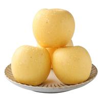 枝遥山东维纳斯黄金苹果奶油水果苹果脆甜应季新鲜水果送人 净重1斤尝鲜单果130g+
