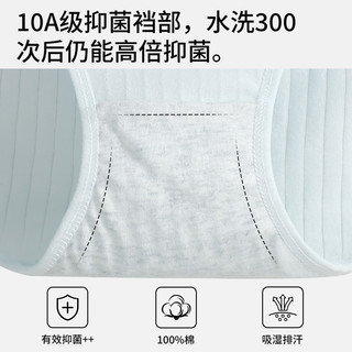 黛尔佳人内裤女2025纯棉裆10A全棉裆女士无痕透气三角裤短裤 【7条装/甄选新疆棉】白色+虾粉+浅紫+黄色+浅绿+蓝色+花灰 M