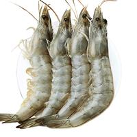 鲜驰 xianchi王牌大虾鲜活速冻超大基围虾海虾厄瓜多尔盐冻白虾南美对虾类海鲜