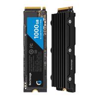 Nextorage NEM-PA系列 NVME M.2 固态硬盘 (PCI-E4.0) NEM-PA1TB