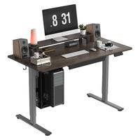 88VIP：Loctek E2S 升降电脑桌  单桌腿