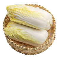 GREENSEER 绿鲜知 娃娃菜 500g