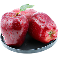 京觅 甘肃天水花牛苹果 新鲜水果 净重8.5斤 75-80果 源头直发